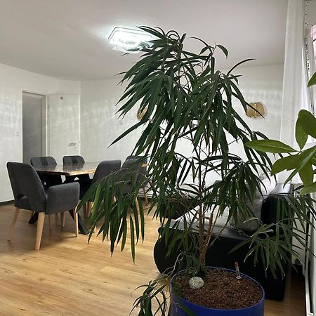 Ferienhaus Formidable Nidderau ภายนอก รูปภาพ