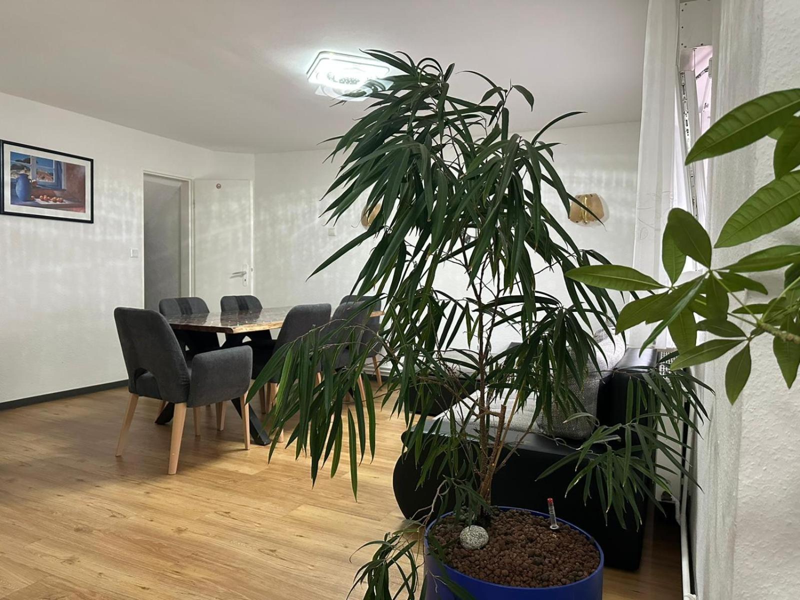Ferienhaus Formidable Nidderau ภายนอก รูปภาพ